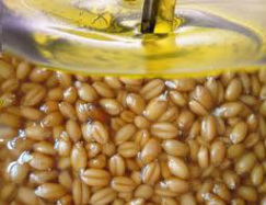 Натуральное масло зародышей пшеницы Афродита органическая косметика